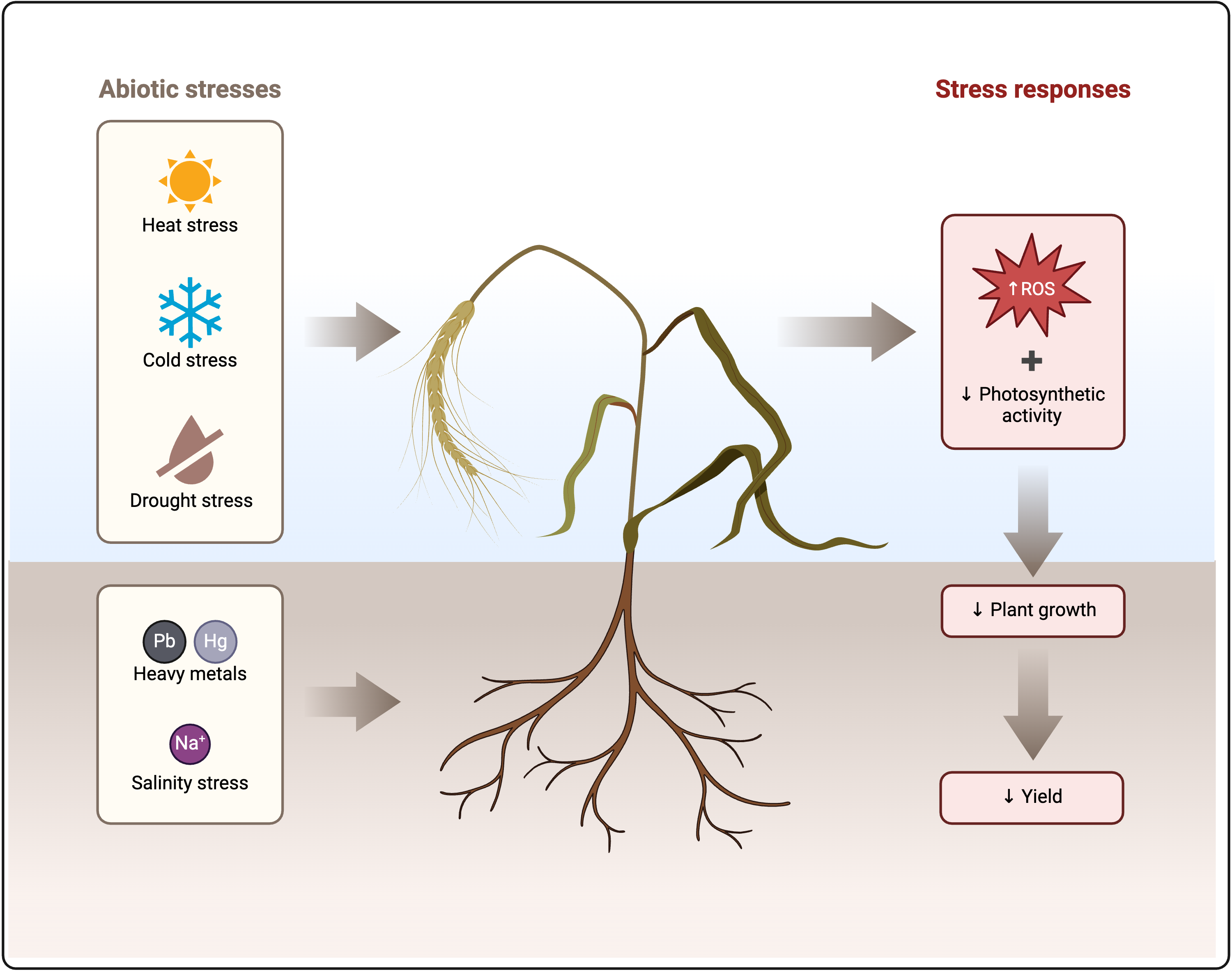 Image related to plant challenges